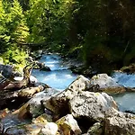 Blumaecker Oberbayern *