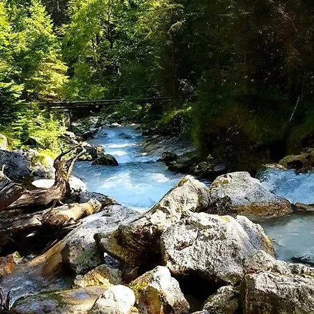Blumäcker Oberbayern *
