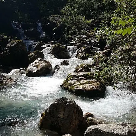 Blumäcker Oberbayern *