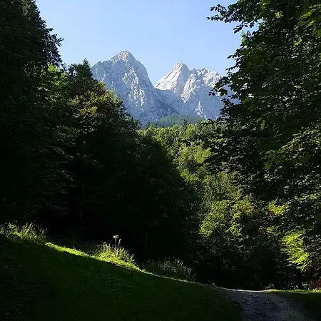 Blumäcker Oberbayern * Oberhausen (Weilheim-Schongau)