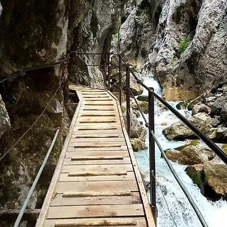 Blumäcker Oberbayern * Oberhausen (Weilheim-Schongau)