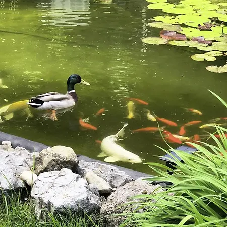 Blumaecker Oberbayern *