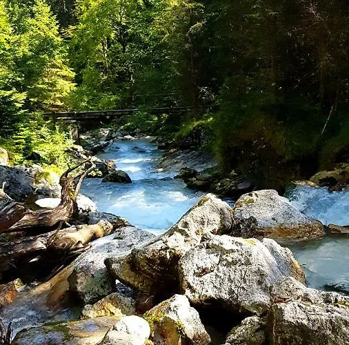 Blumaecker Oberbayern *
