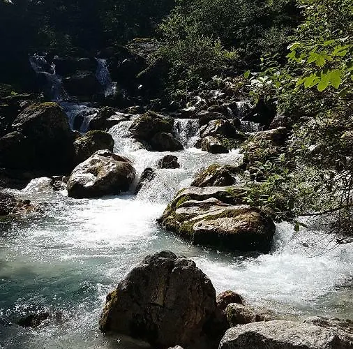 Blumaecker Oberbayern *